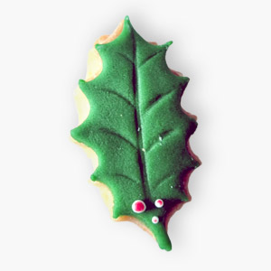 biscotto pacchetto regalo di Natale